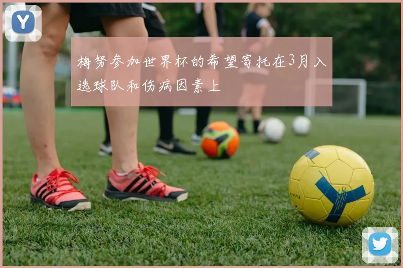 梅努参加世界杯的希望寄托在3月入选球队和伤病因素上